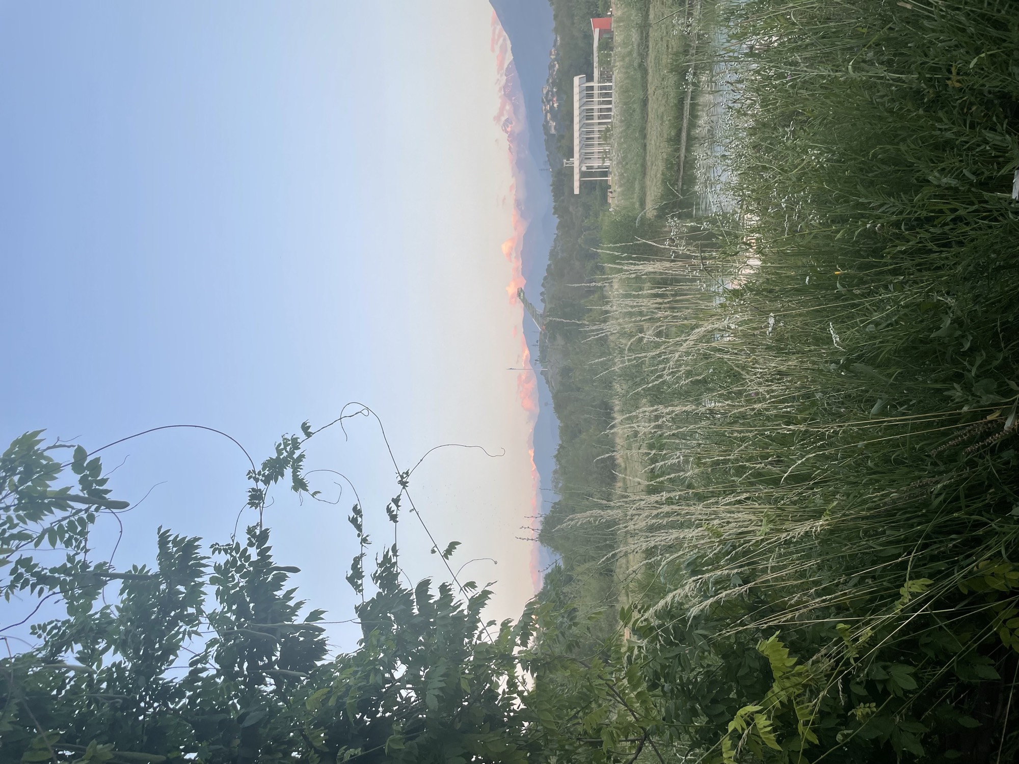A meadow with tall grass, a pond and mountains at dusk